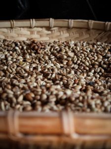 Colombian Coffee types of coffee beans on brown woven basket